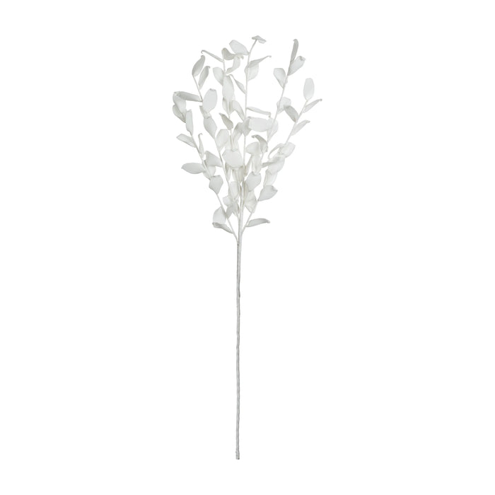 Coyet fleur  | Blanc